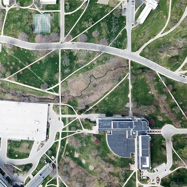 Desire paths leading to the central dorms